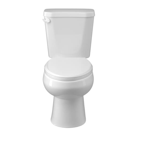 NTQ 2-Piece 1.28 GPF Toilets Single Flush Round Softclose Toilet in ...