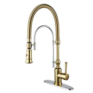 Single Handle Pull Down Sprayer Kitchen Faucet in Gold and Chrome