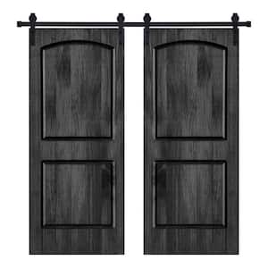 Modern 2Panel-Roman Designed 48 in. x 80 in. Wood Panel Ebony Painted Double Sliding Barn Door with Hardware Kit