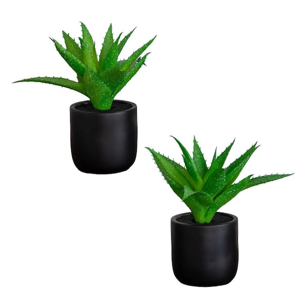 9 in. Artificial Mini Agave Plant in Ceramic Black Planter - Set of 2