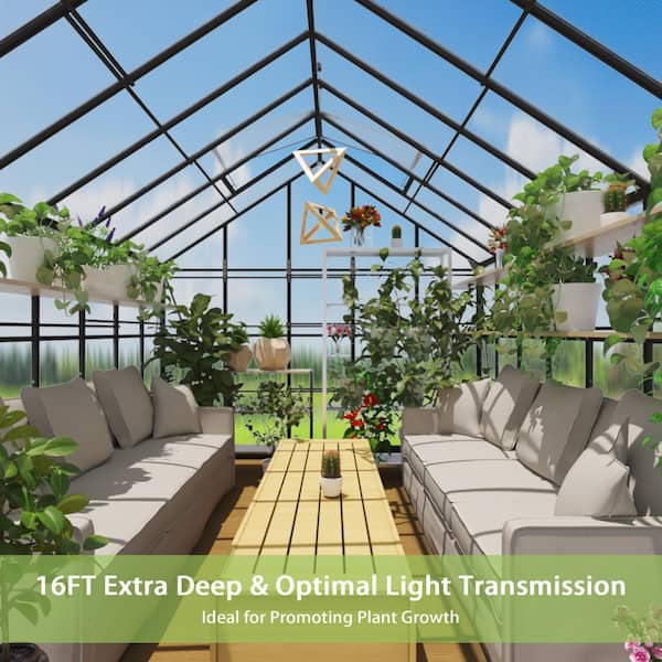 10 ft. x 16 ft. Outdoor Polycarbonate Walk-In Greenhouse 154 Square Area with Black Aluminum Frame