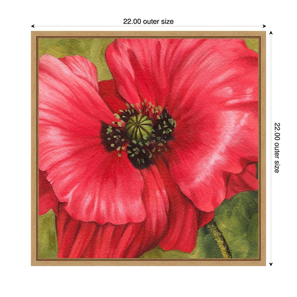 Vivid Red Poppy Canvas Print with Maple Frame