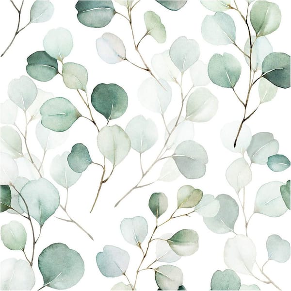 Green Eucalyptus Leaf Floral Peelable Wallpaper Roll (Set of 1)
