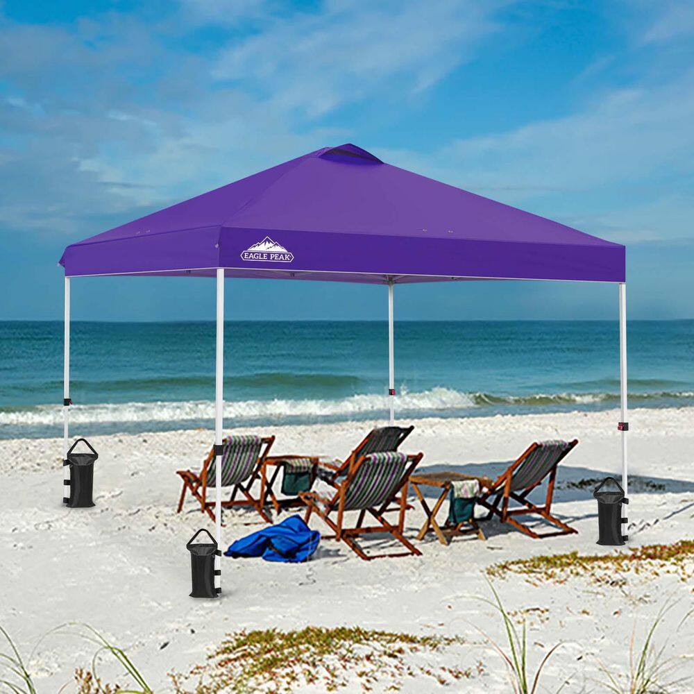 10 ft. x 10 ft. Pop Up Canopy Tent Instant Outdoor Canopy with 4-Sand Bags price history on PriceWatchPro