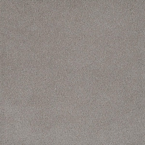 Home Decorators Collection First Class I - Ashland - Beige 32 oz. SD ...