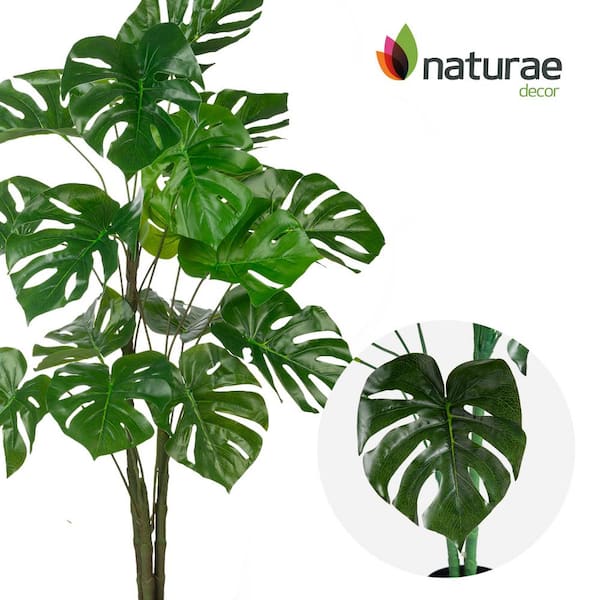 philodendron glad hands variegata Philodendron Glad Hands – Lost in the Forrest main image 1