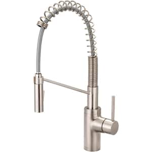 Motegi Single-Handle Pull-Down Sprayer Kitchen Faucet with Pre-Rinse in Brushed Nickel