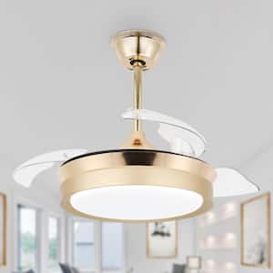 Belleville 36in. LED Latest DC Motor Light Memory Indoor French Gold Retractable Ceiling Fan with Light, 6-Speed