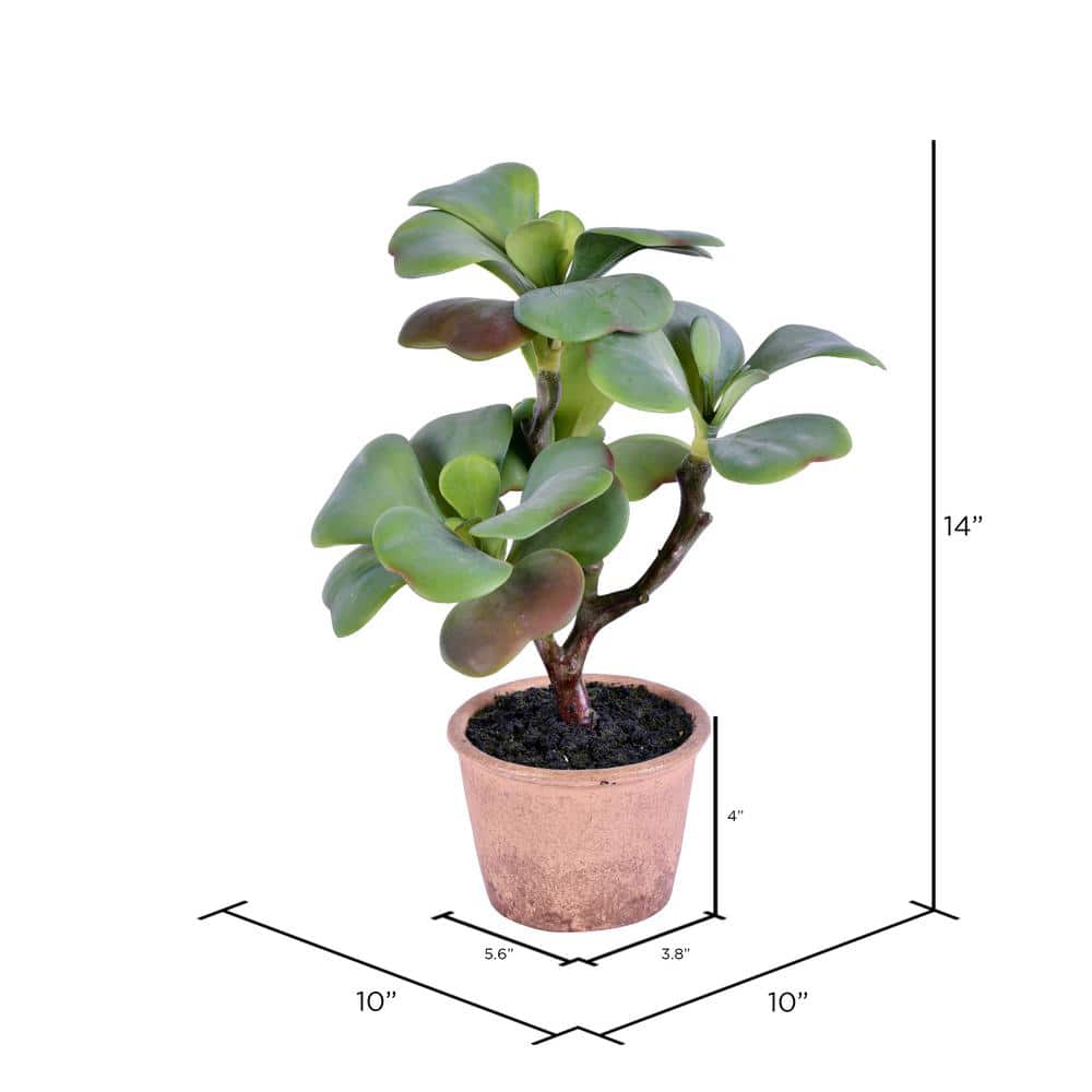 14" EverGreen Tabletop Plastic Succulent - Outdoor Centerpiece
