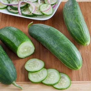 1.19 qt. Burpless Hybrid Cucumber Plant (6-Pack)