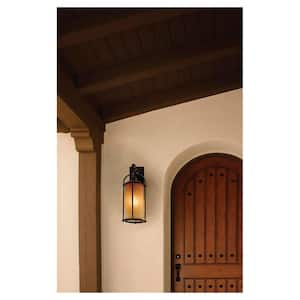 Dakota 1-Light Espresso Outdoor 16.875 in. Wall Lantern Sconce