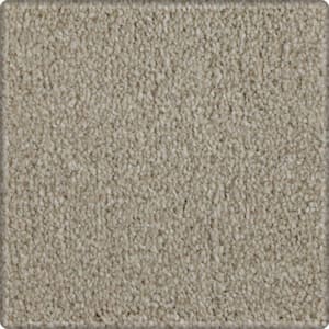 Denfort  - Fleece - Beige 70 oz. Triexta Texture Installed Carpet