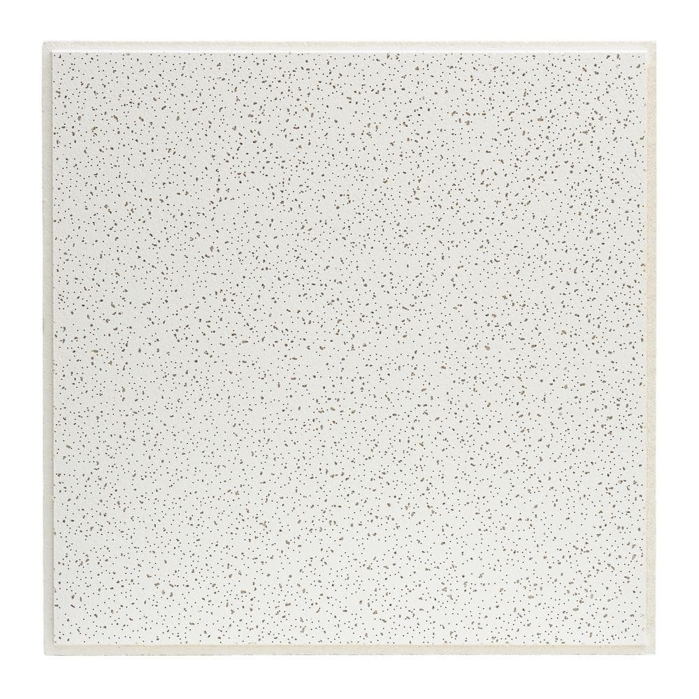 USG Ceilings 2 ft. x 2 ft. Radar White Shadowline Tapered Edge Lay-In Ceiling  Tile, case of 16 (64 sq. ft.) 2220 - The Home Depot, image size:1000x1000