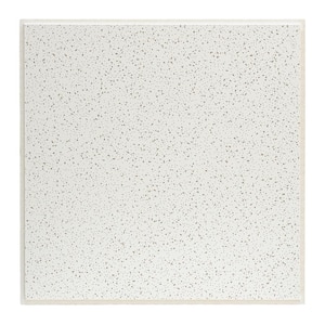 2 ft. x 2 ft. Radar White Shadowline Tapered Edge Lay-In Ceiling Tile, case of 16 (64 sq. ft.)