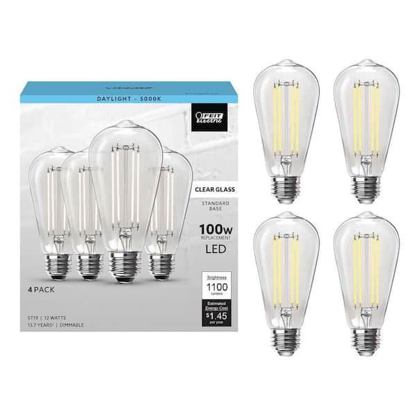 100-Watt Equivalent ST19 Dimmable Straight Filament Clear Glass E26 Vintage Edison LED Light Bulb, Daylight (4-Pack)
