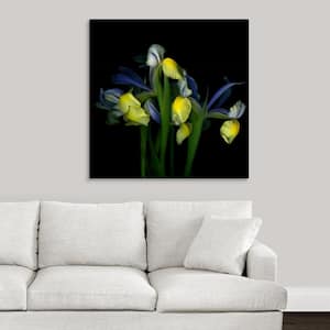 "Blue Iris" by Magda Indigo Canvas Wall Art
