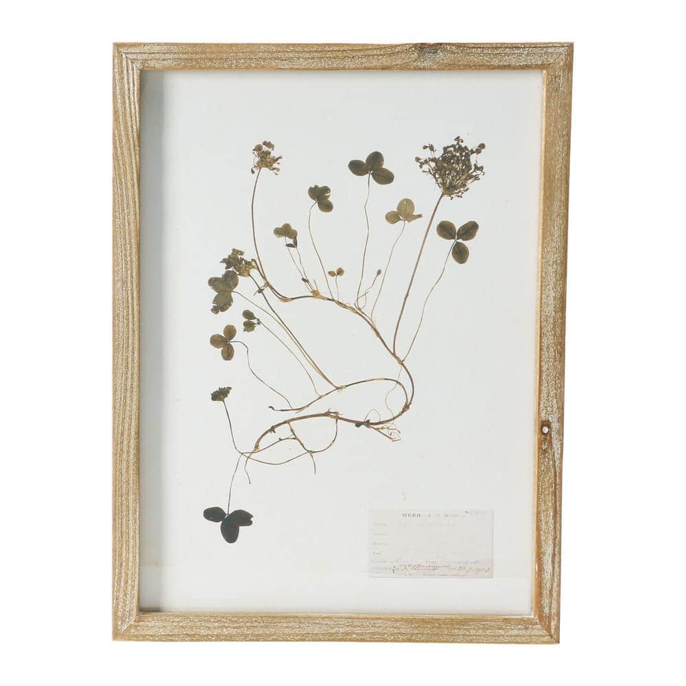 Set of 6 Botanical Prints in Light Brown Wood Frames