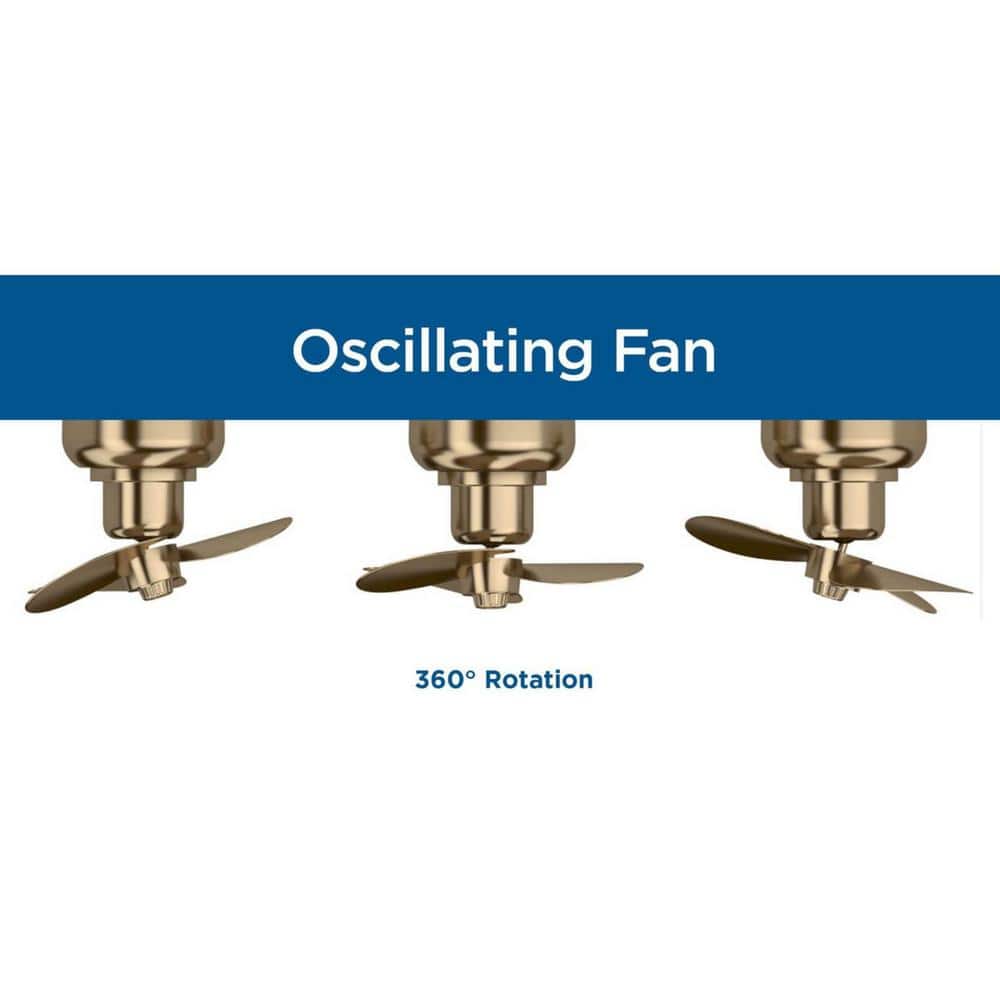 Matte Black Low Profile LED Chandelier Ceiling Fan with Remote