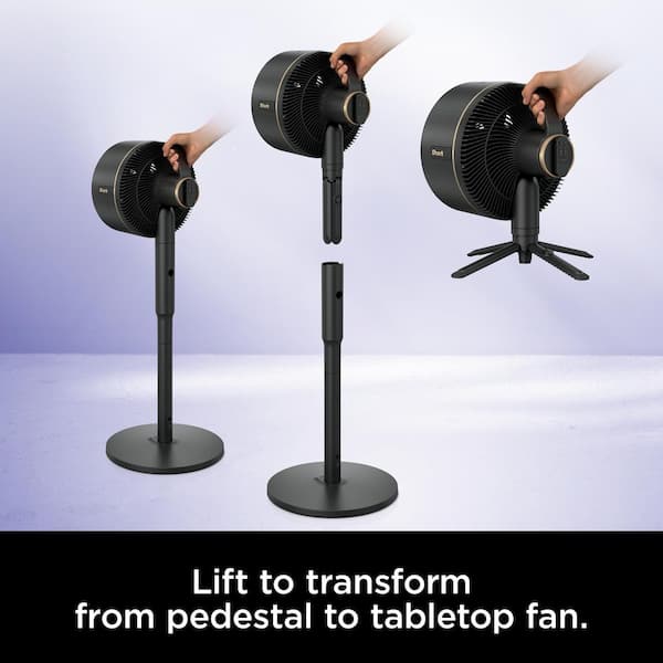 Shark FlexBreeze 13 in. 5-Speed Outdoor and Indoor Pedestal Fan in