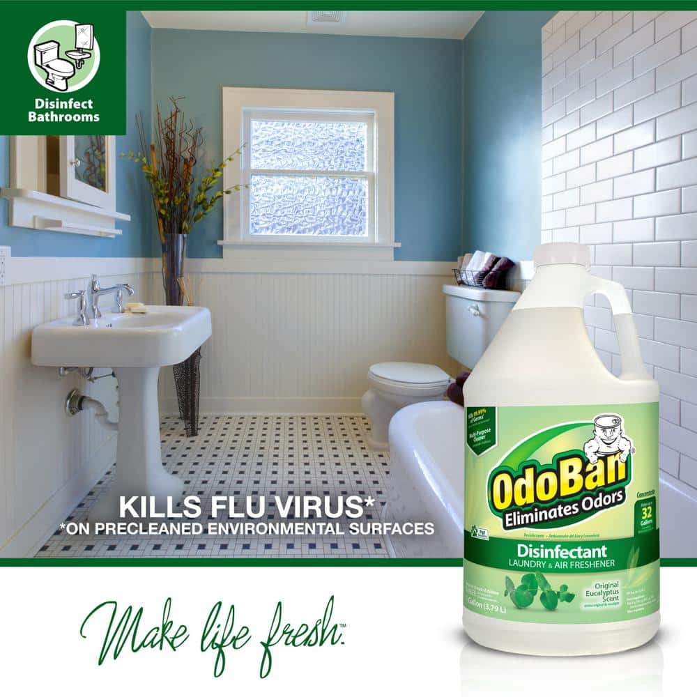 OdoBan Eucalyptus Scent Disinfectant and Odor Eliminator Concentrate