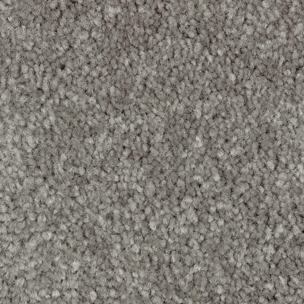 8 in. x 8 in. Texture Carpet Sample - Mason II -Color Stone Path price history on PriceWatchPro