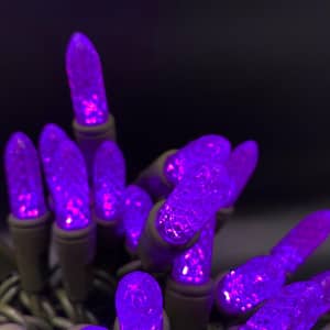 Purple M8 LED Lights with 4 in. Spacing (Set of 50)