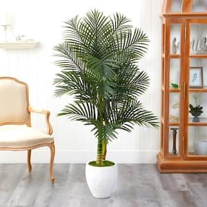 5 ft. Paradise Palm Artificial Tree in White Planter