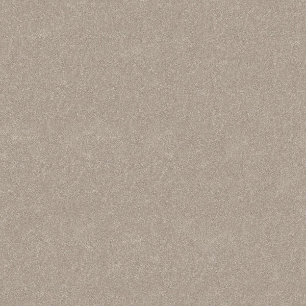 Home Decorators Collection House Party I - Delicate - Beige 37.4 oz. Polyester Texture Installed Carpet