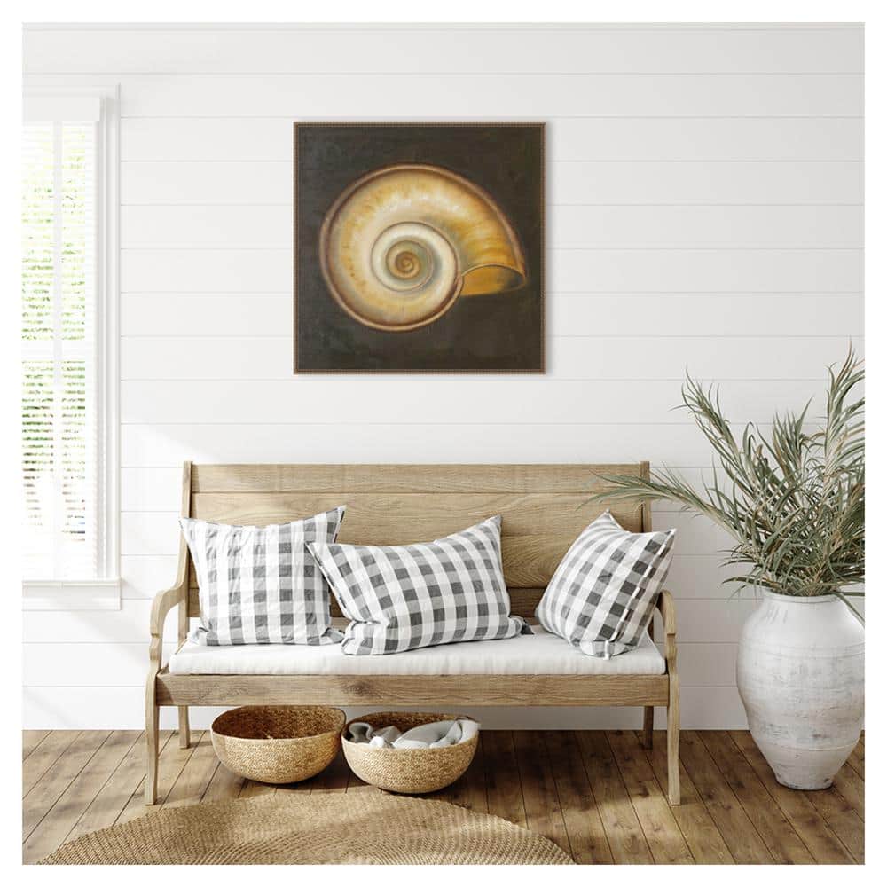 30"x30" Seashell I by Patricia Pinto Framed Canvas Wall Art Print Bronze - Amanti Art: Hand-Stretched, Madison WI, Nautical Decor