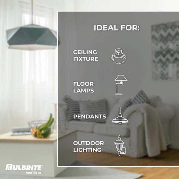 Bulbrite 60-Watt Equivalent G40 Clear Dimmable Edison LED Light Bulb Warm White (2-Pack) Bulbrite 60-Watt Equivalent G40 Clear Dimmable Edison LED Light Bulb Warm White (2-Pack)