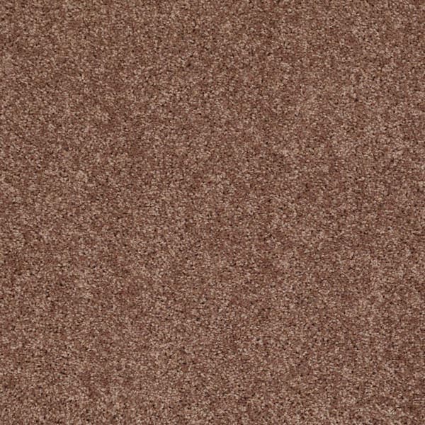 TrafficMaster Palmdale I - Coffee - Brown 17.6 oz. Polyester Texture Installed Carpet