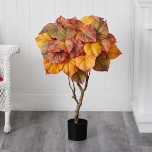 3 ft. Autumn Umbrella Ficus Tree