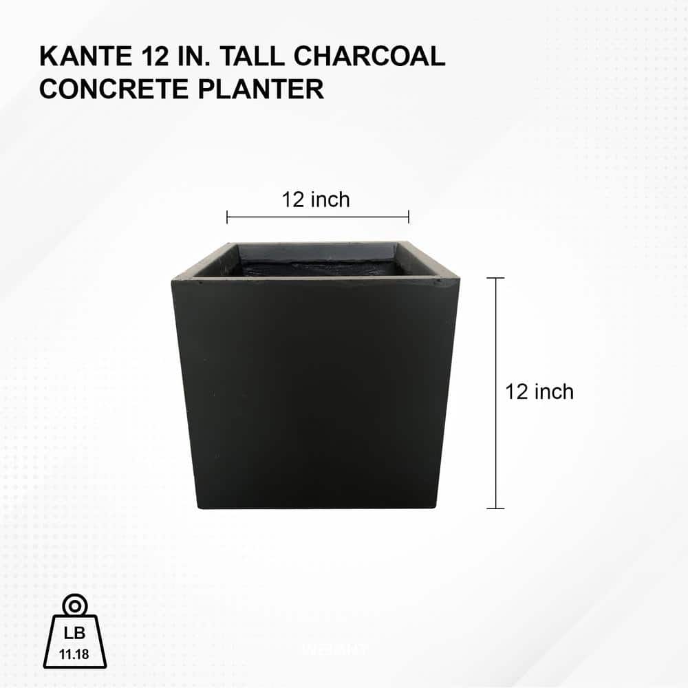 Modern Lightweight Concrete Square Planter, Charcoal Black, 15.35"