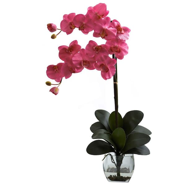 Nearly Natural Double Phalaenopsis Orchid with Vase Arrangement in Dark Pink