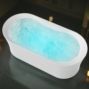 Julia Series 67 in. Freestanding Acrylic Air and Whirlpool Bathtub with Touch Sensitive Control and Chroma Lights