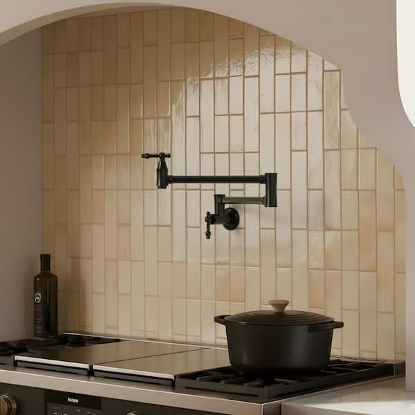 Wall Mounted Cold-Water Pot Filler with 2 Handle in Matte Black