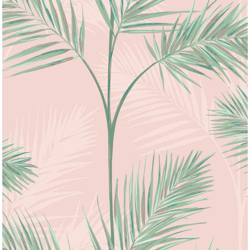 South Beach Blush Fronds Blush Wallpaper Sample price history on PriceWatchPro