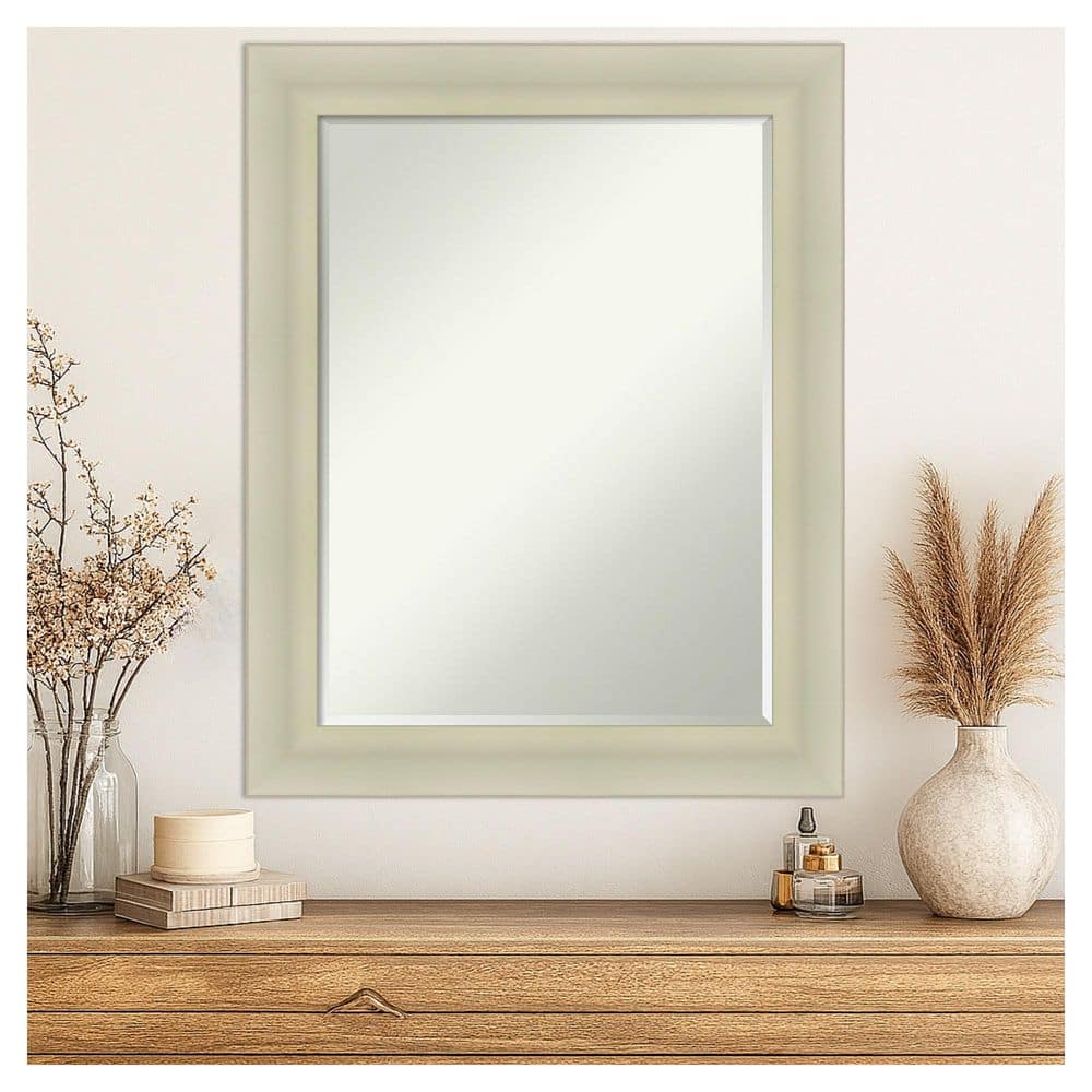 Oliver Warm Silver 23.25 in. x 29.25 in. Petite Bevel Modern Rectangle Wood Framed Wall Mirror price history on PriceWatchPro