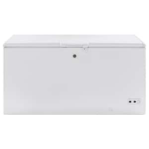 65 in. 15.7 cu. ft. Manual Defrost Chest Freezer with Adjustable Temperature Control, Drain, LED Light Type in White