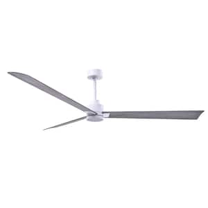 Alessandra 72 in. 6 Fan Speeds Ceiling Fan in White with Remote Control Included