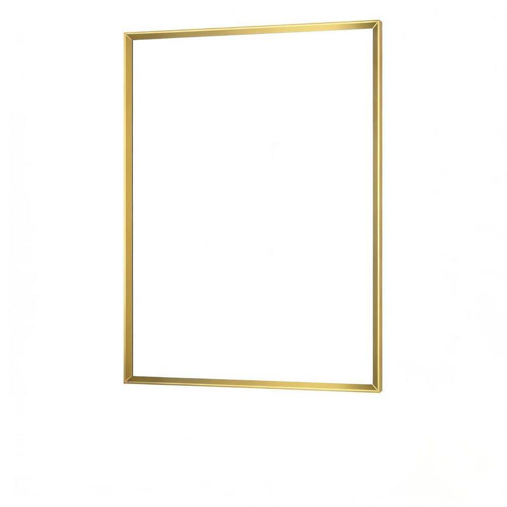22 in. W x 30 in. H Framed Rectangular Wall-Mounted Double Beveled Frame Bathroom Vanity Mirror, Brushed Gold price history on PriceWatchPro
