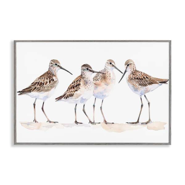 Stupell Industries Sand Pipers Gathered by Petal Prints Design Gray Framed Animal Giclee Art Print 20 in. x 30 in.