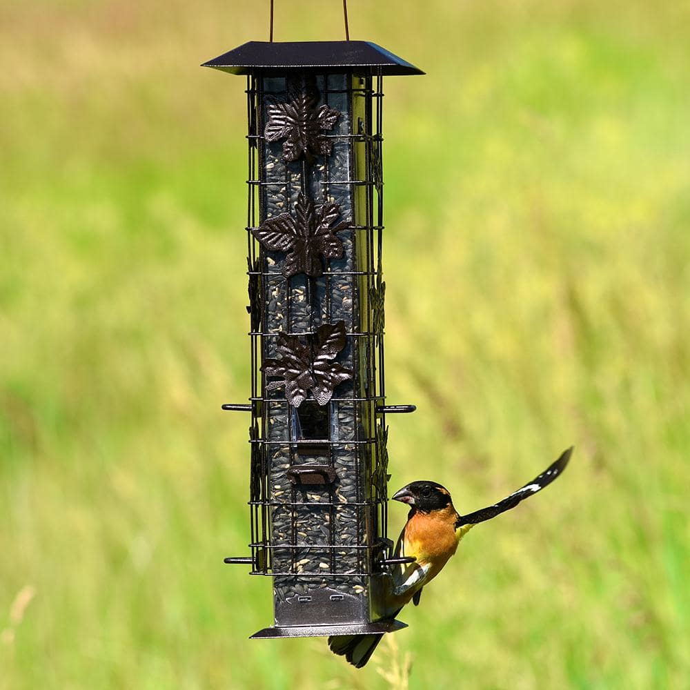 Brown Metal Hanging Squirrel Resistant Tube Bird Feeder