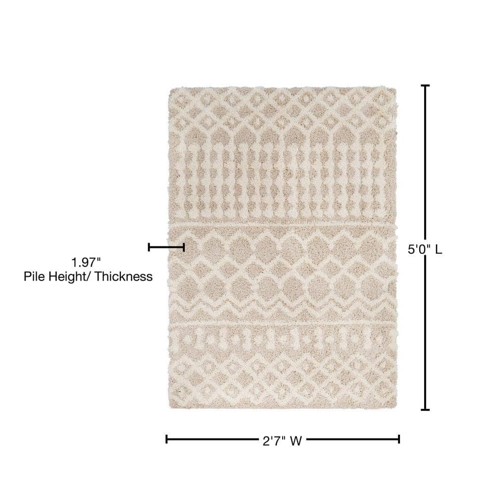 Beige Plush Moroccan Shag Area Rug, 2'7" x 5'