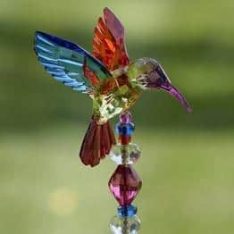 Zaer Ltd. 22 in. Tall Acrylic Hummingbird Pot Stick (Set of 6