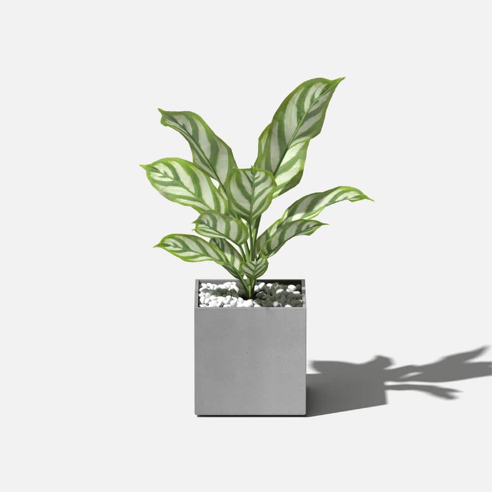 Geo Series 5" Gray Concrete Composite Cube Planter