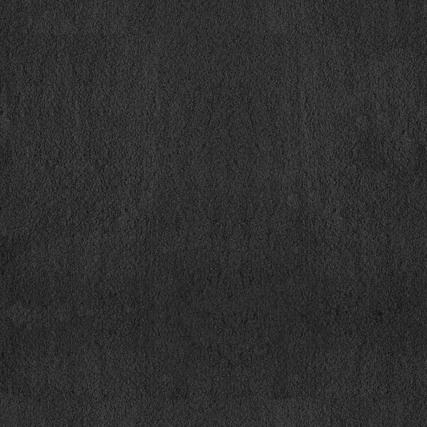 Dreamy Daze II Thunder Cloud Gray 66 oz. Nylon Texture Carpet - Installation Required