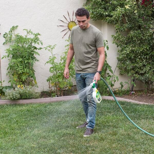 best yard odor eliminator