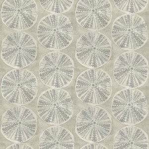 Sea Biscuit Grey Sand Dollar Matte Paper Pre-Pasted Wallpaper