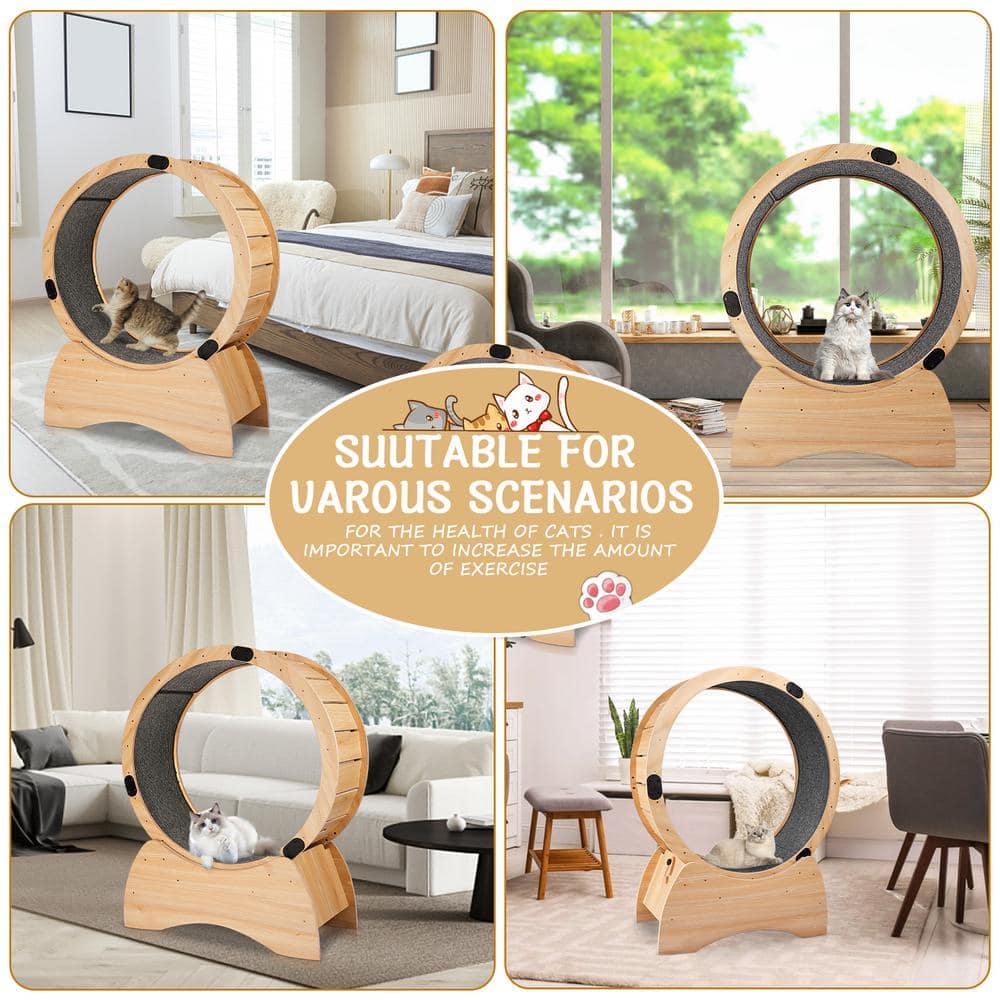 Natural Wood and Carpeted Cat Exercise Wheel with Detachable Blanket